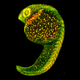 Illustration for article titled The Microscopic Beauty of Photographys Smallest Subjects